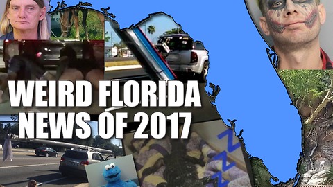 Here are the top weird Florida news stories of 2017