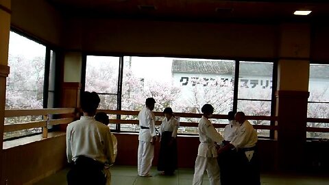 Aikido Practice Among the Cherry Blossoms in Japan