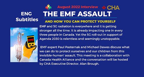 ENG SUBTITLES - The EMF Assault - How to Protect Yourself