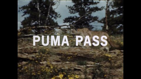 Mutual of Omaha's Wild Kingdom - "Puma Pass"