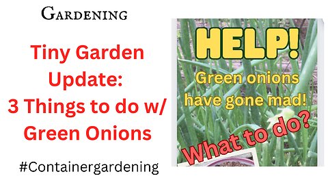 Tiny Garden Update: 3 Things to do with All Your Free, Organic Green Onions