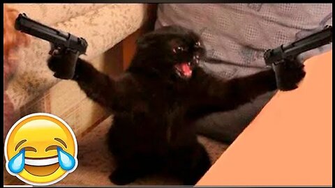 New funy animals😂 Funniest cat and dog videos😸