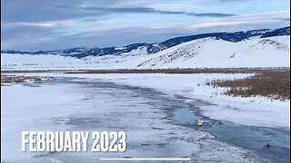 Jackson Hole Downtown & The Elk Refuge Road