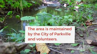 The Parkville Nature Sanctuary