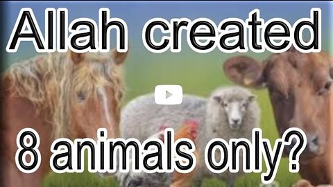 March 17, 2023 Crazy Debate on Quran- Did you know Allah sent down 8 pairs of Animals??