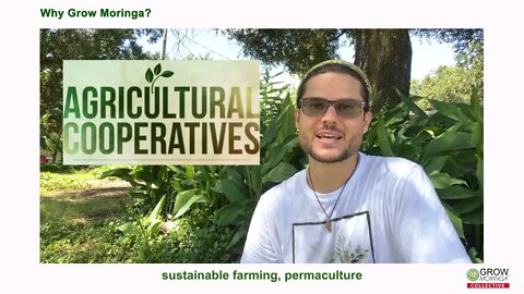 How to Start Your Permaculture Food Forest with Moringa as Pioneer Crop for Cooperative Business