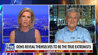 Newt Gingrich: We Have Never Seen This Level Of Desperation In American Politics