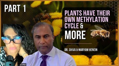 Why The Bees May Be Dying, Plant Methylation Cycles + More | Dr. Shiva & Maryam Henein