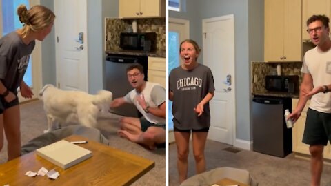 Woman turns game of charades into pregnancy announcement