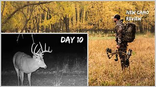 Day 10: Buck Movement Update, New Camo Review