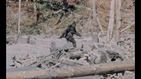 How Do We Defeat the Sasquatch When They Make Their Move? (Questions with LA #32)