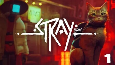 Stray - Part 1 #straygame #steam #steamgame #streamergirl