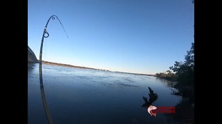 BEAUFORT SHEEPSHEAD AND SPOTAIL