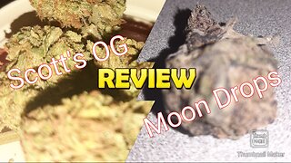 S4 Episode 7 Scott's OG + Moon Drops Strain Review