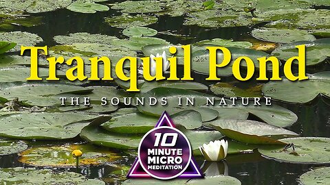 Tranquil Pond - Calm your Mind, Body and Soul with a 10 Minute Micro Meditation
