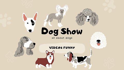 dog show - funiest video