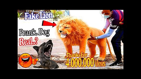 Troll prank dog funny and fake lion and fake tiger prank to dog 🐕🤣