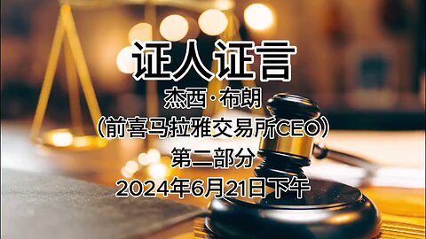 证人证言 EP52｜ 2024年6月21日下午 郭先生庭审 检方第27位证人- 杰西·布朗（前喜马拉雅交易所CEO）第二部分（AI中文朗读 字幕仅供参考）