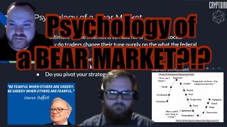 Psychology of a Bear Market...Will we Ever go BULL AGAIN!!!