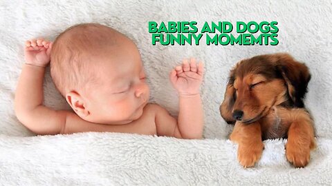 Cute Babies with dogs | Very cute and Funny #2