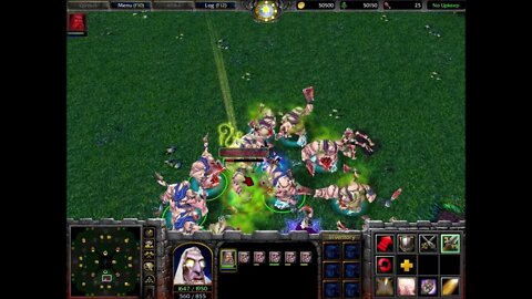 Warcraft 3 Classic: Forsaken Paladin