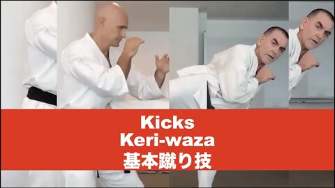 The Kihon Kicks of Kyokushin. Detail Counts
