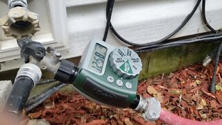 Automatic water for my chickens trying to be a lazy Homesteader