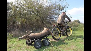 Electric Fat Tire Bikes for Hunting