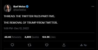 Los Archivos de Twitter Parte 5 - La Remocion de Trump Parte 3