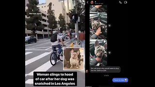 Woman clings to the hood of her car in LA