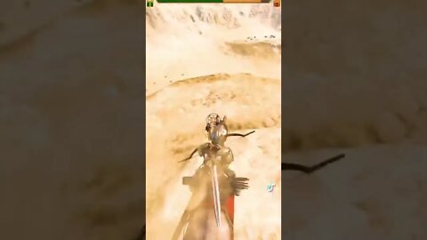 Bannerlord mods from TikTok 13