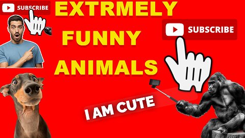 EXTRMEELY FUNNY ANIMAL VIDEO