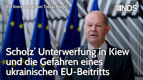 Scholz’ Unterwerfung in Kiew und die Gefahren eines ukrainischen EU-Beitritts | Tobias Riegel | NDS