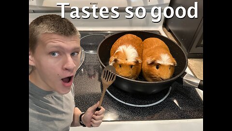 Cooking my guinea pigs! Compilation video