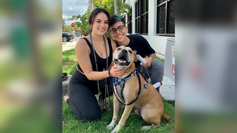 Positively 23ABC: Couple reunited with dog after 2 years