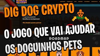 NFT - DYG DOG CRYPTO - AÇÃO SOCIAL PARA PETS E JOGO NFT