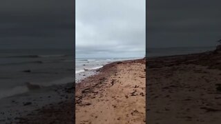 Cloudy day at the beach