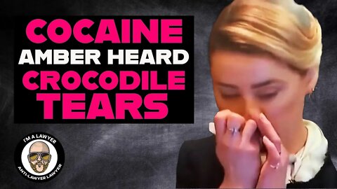 Amber Heard does cocaine in court? She is NOT credible.