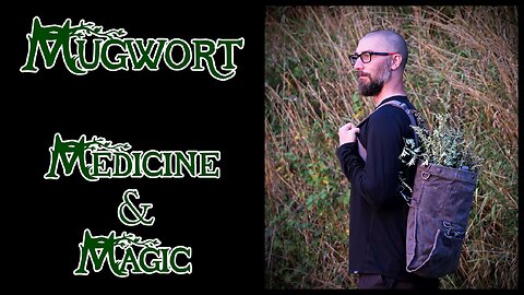 Mugwort ~ Medicine & Magic