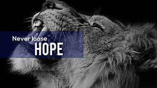 Never loose hope - Motivational video