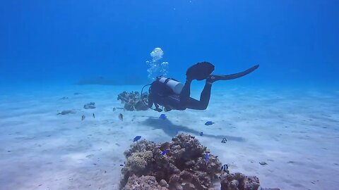 Suyeon's First Dive on Tinian