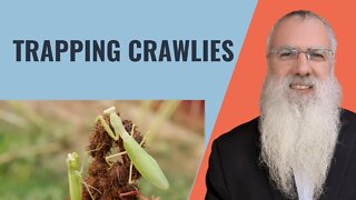 Mishna Shabbat Chapter 14 Mishnah 1 Trapping crawlies