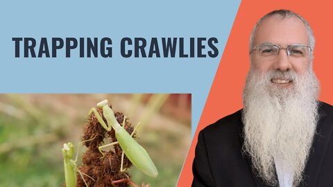 Mishna Shabbat Chapter 14 Mishnah 1 Trapping crawlies