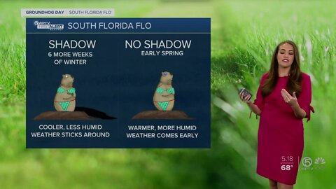 Forget Punxsutawney Phil, it;s South Florida Flo