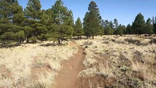 Flagstaff, AZ | Campbell Mesa Loop Trail
