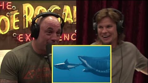 JRE: K*lled By Shark!