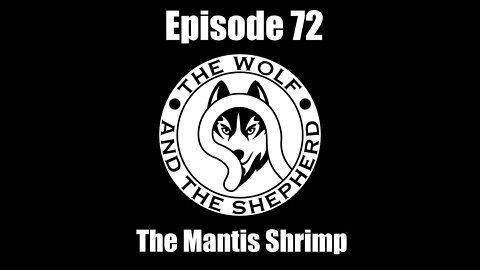 Episode 72 - The Mantis Shrimp