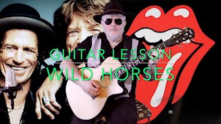 Wild Horses Guitar lesson