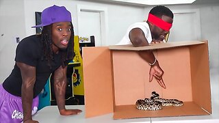 Kai Cenat & Kevin Hart What's In The Box Challenge!