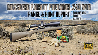 Mossberg Patriot Predator .243 Win - Full Overview Range Test with Prairie Dog & Coyote Hunt in 4K